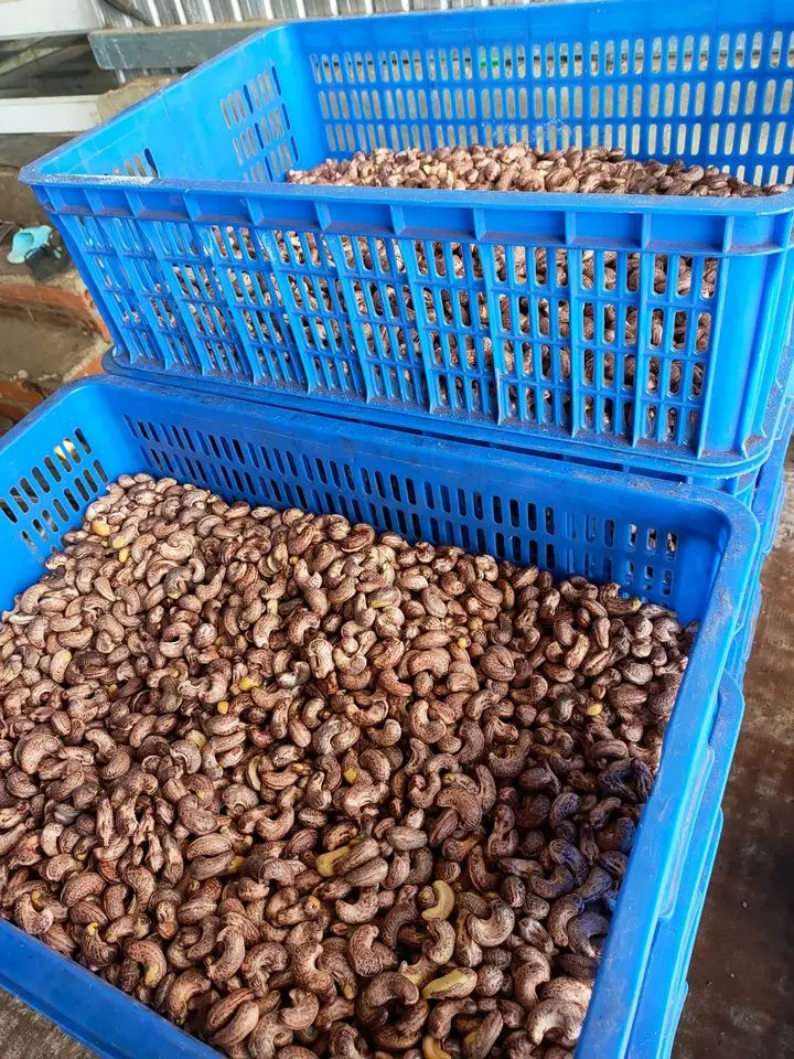 cashew nuts and seeds CASHEW NUT WW320 WW240 COMPETITIVE PRICE