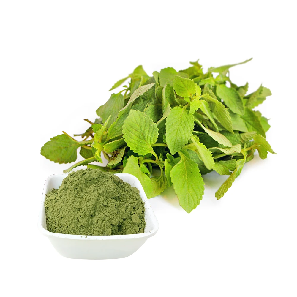 Best Quality Tulsi Leaves Powder For Hair Treatment 100 Gram Packing Custom OEM Private Labelling Available