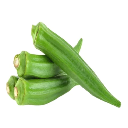 WHOLESALE FRESH OKRA WITH HIGH QUALITY FROM THAILAND IN BULK