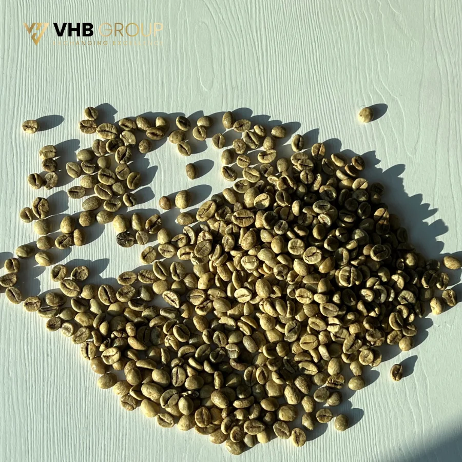 In Bulk Coffee Beans Packaging Strong Bulk Coffee Beans Boost Energy Coffee Grains