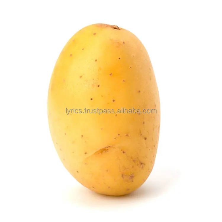 100% Export High Quality Fresh Potato Collection Of 2022