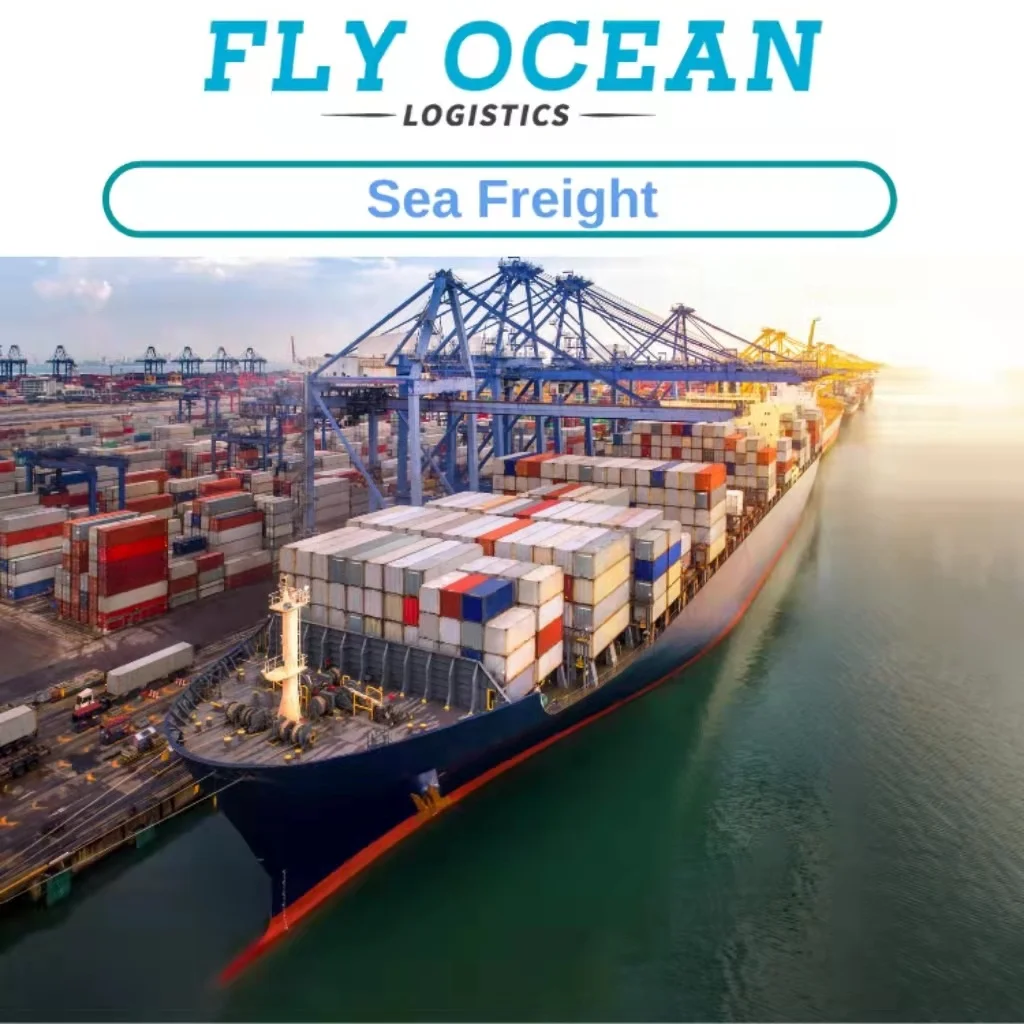 Sea Freight Forwarder LCL/FCL From China To USA UK CANADA EUROPE FBA Ocean DDP Door To Door Delivery Services