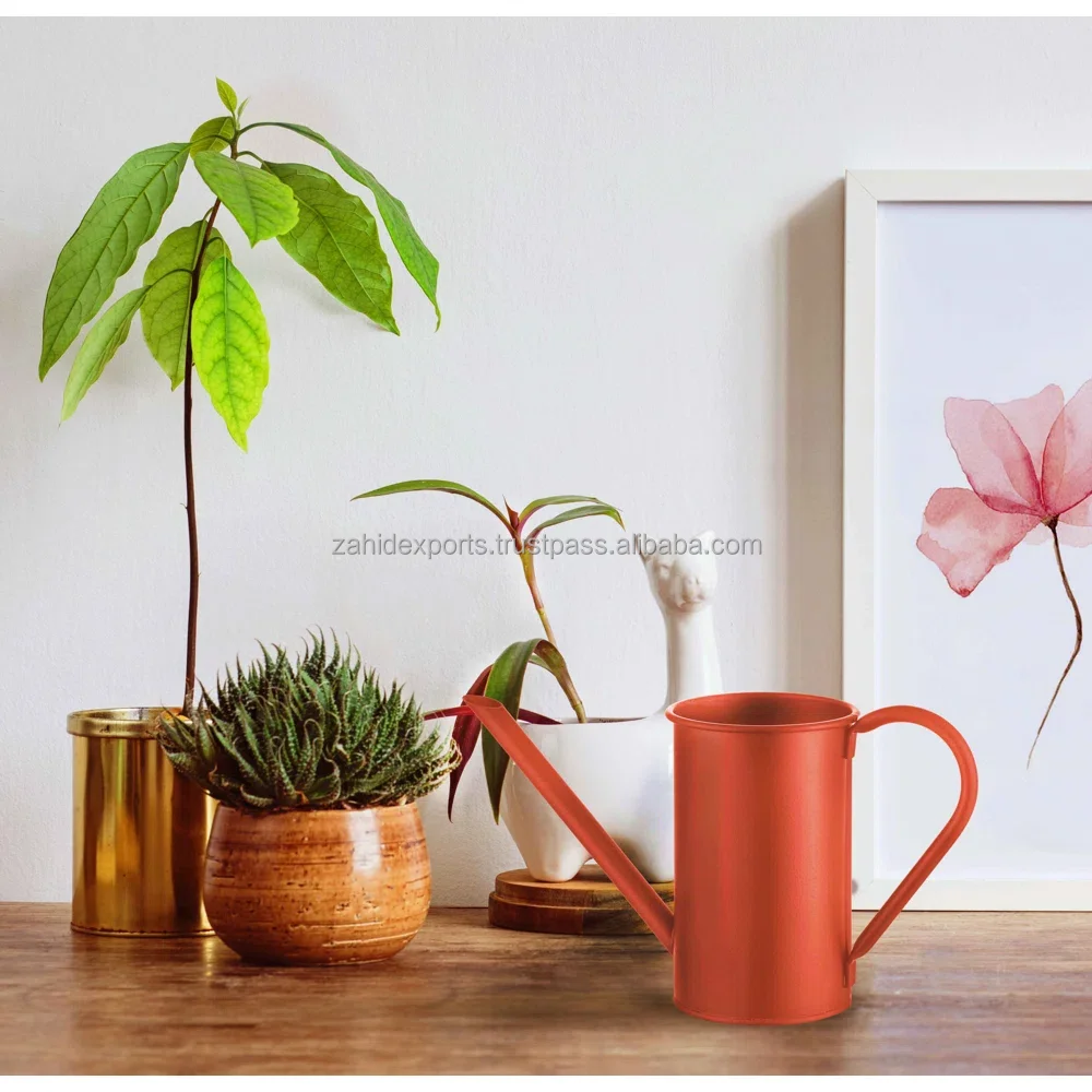 Stainless Steel Sprinkler watering Can Long Mouth Spray Bottle Creative Watering Can with Comfortable Handle for Watering can