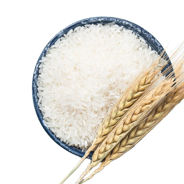 Hot Sale High Quality Vietnam Japonica Rice Good Price 15% 10% 5% Broken Rice Exporter