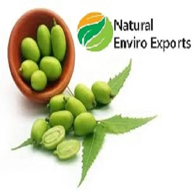 Organic Neem Seed Oil Extracted by Cold Press Method used for Agricultural and Health Care Purposes; Neem Seed Oil at Low Cost