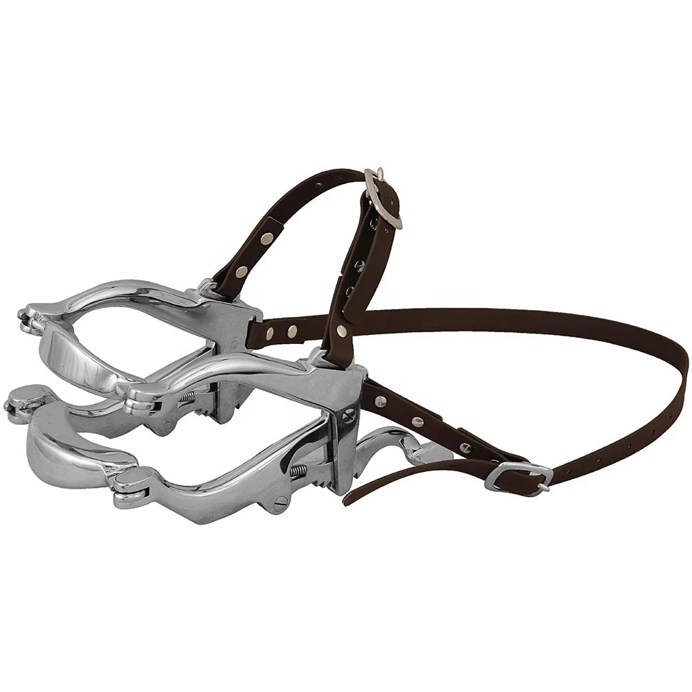 Horse Mouth Speculum Equine Mouth Gag Equine Dental Floats Set Horse Mouth Rasp Equine Dental Veterinary Instruments