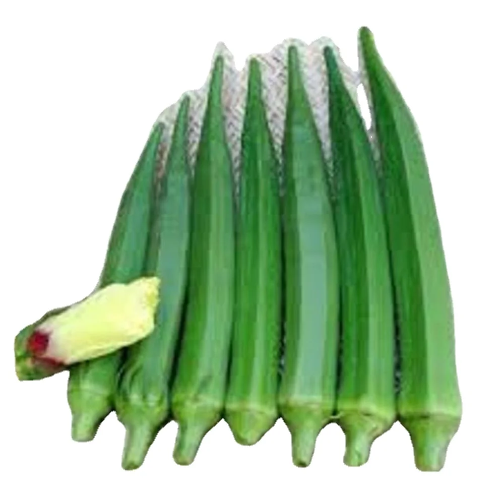 Okra Pusa Sawani / Okra Dark Green for for consumption - MN GLOBAL IMPEX from india