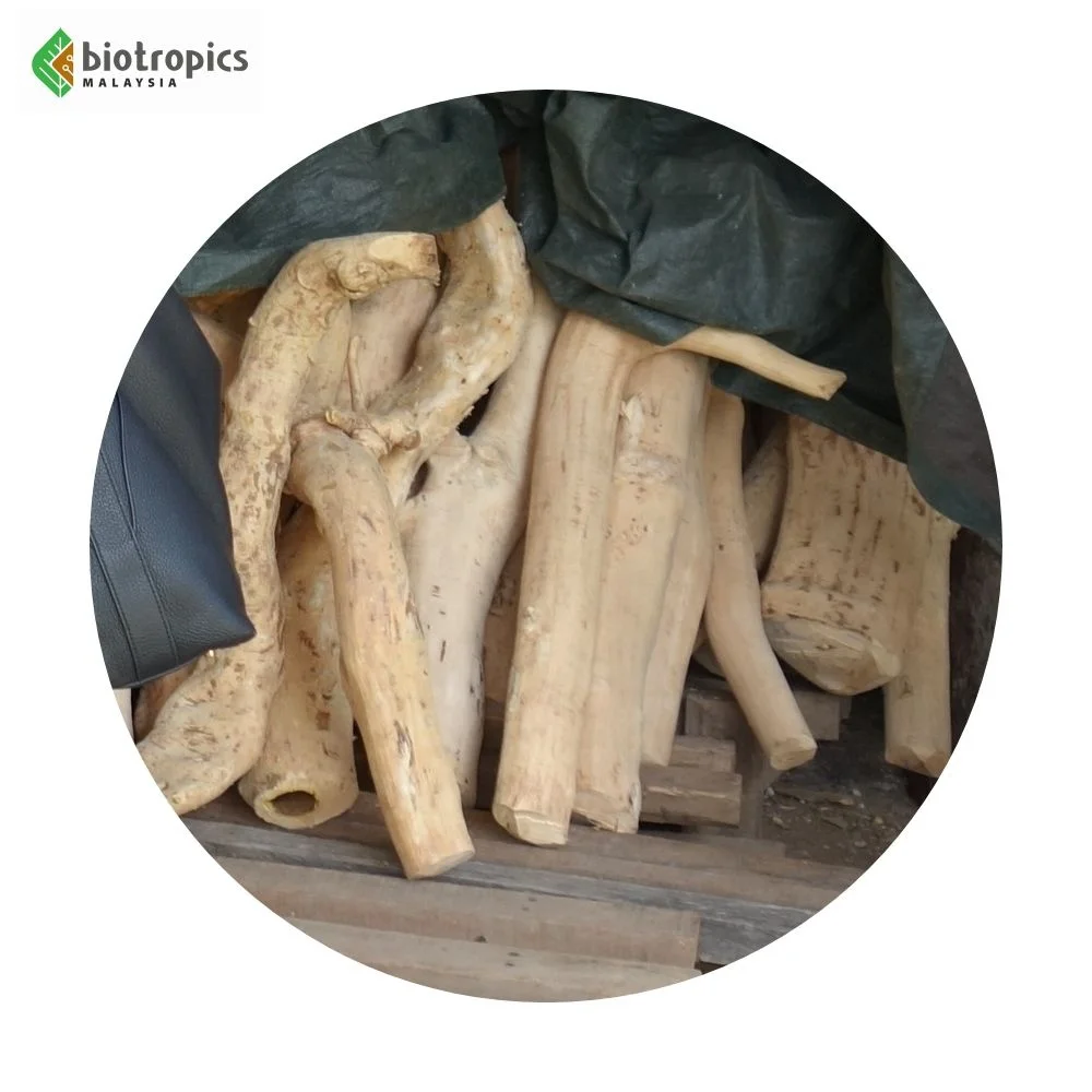 New Tongkat Ali Herbal Extract Powder Less Bitter as Ready Ingredient for Food & Beverages Halal Kosher GMP HACCP ISO