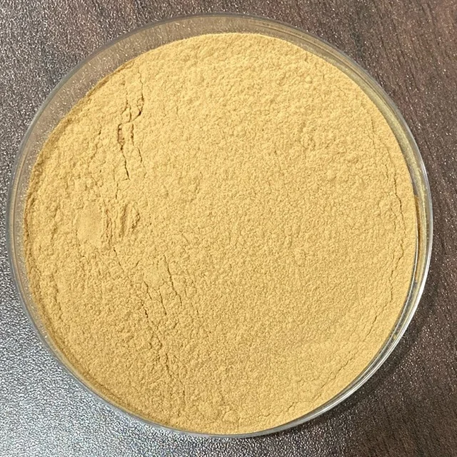 
 Экстракт оливкового листа  