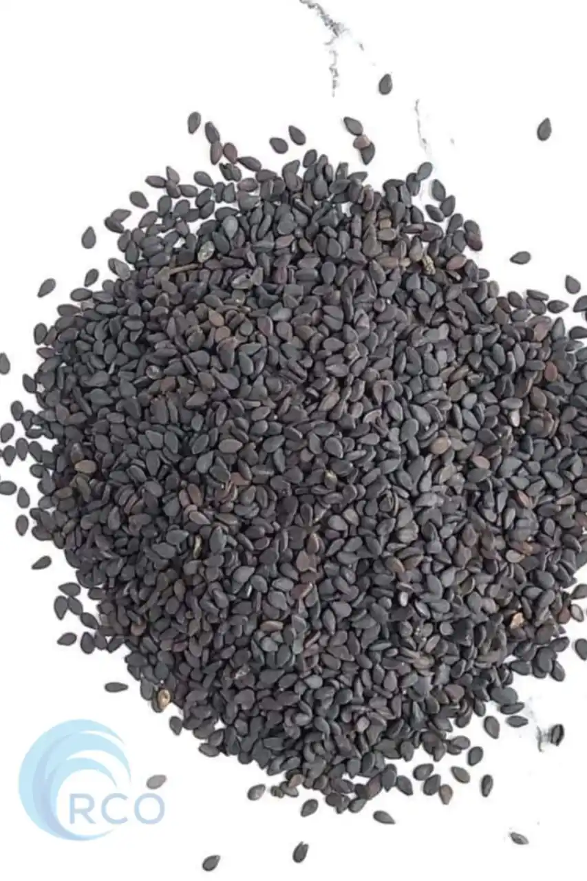 Wholesale Natural Raw Sesame Seeds Pure Black Sesame Seed new crops available fresh quality from Bangladesh