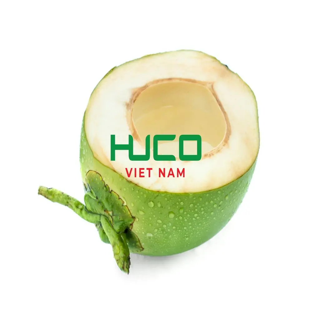 Cheap Price High Quality fresh coconut - fresh sweet young coconut organic from Vietnam