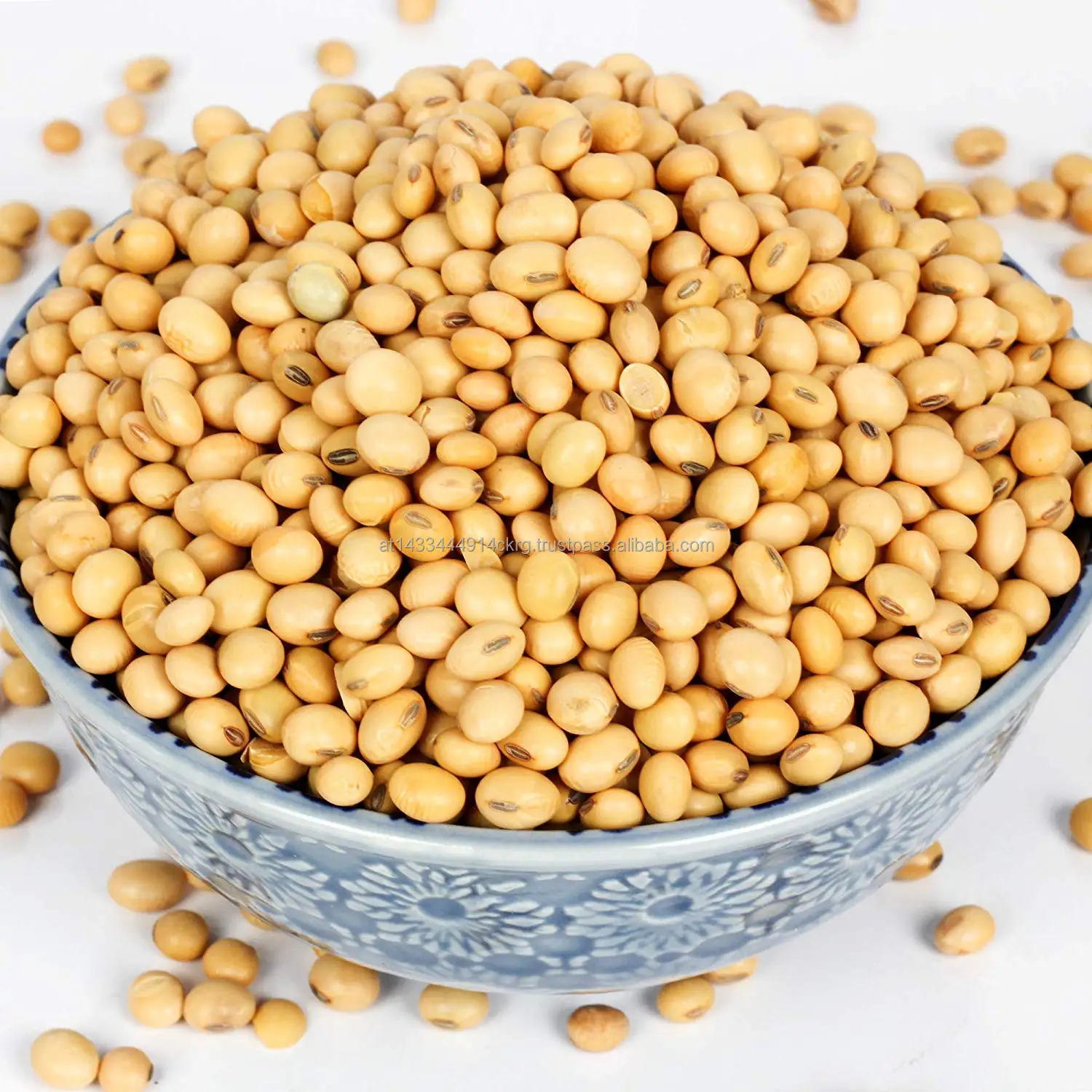 Canada Wholesale Dried Yellow Soybean Soya Seeds