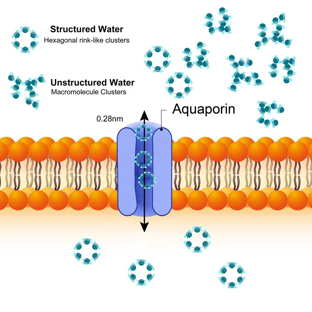 Taiwan Made High Quality Household Durable Hexagonal Water Maker Hydrogen Water Generator