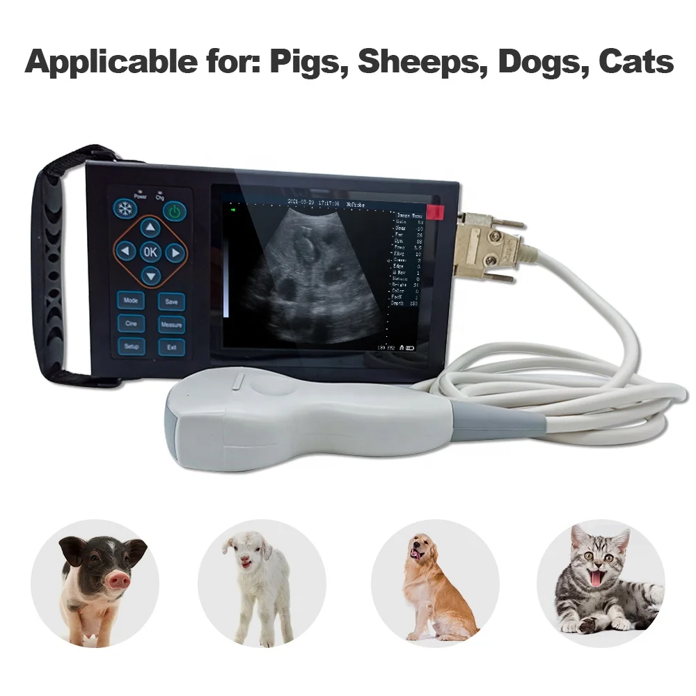 A10 ручной цифровой портативный Usb ноутбук устройство для домашнего животного Sonoscape ультразвуковой сканер инструменты Vet ультразвук