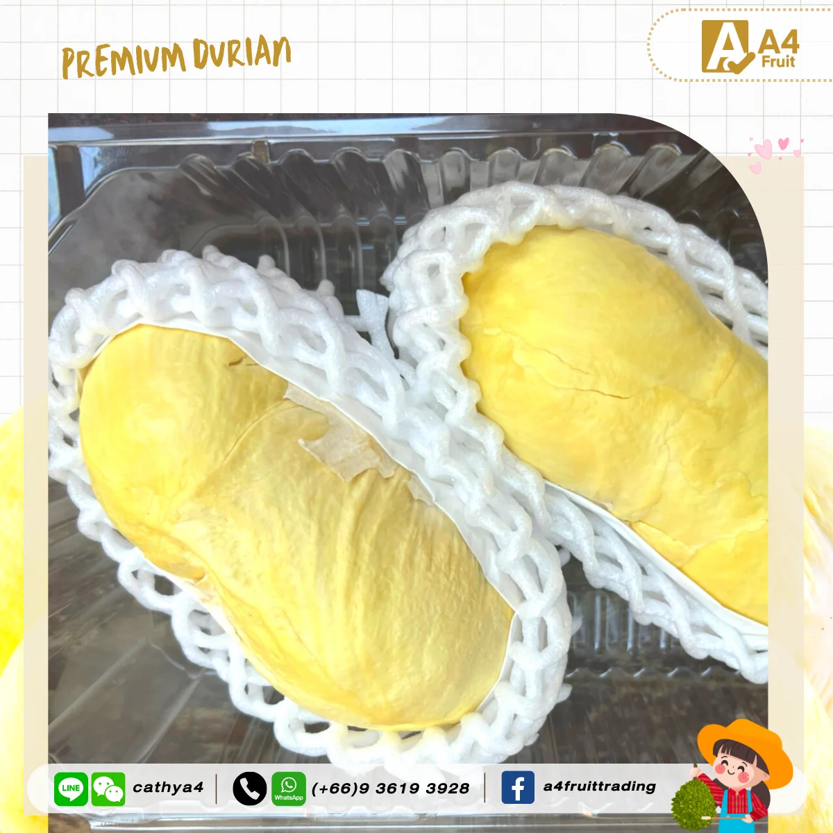 Fresh durian for china original from thailand 100% sweet and High quality