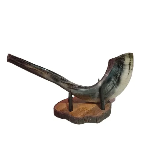 100% Natural Sheep Ram Horn Polished Shofar