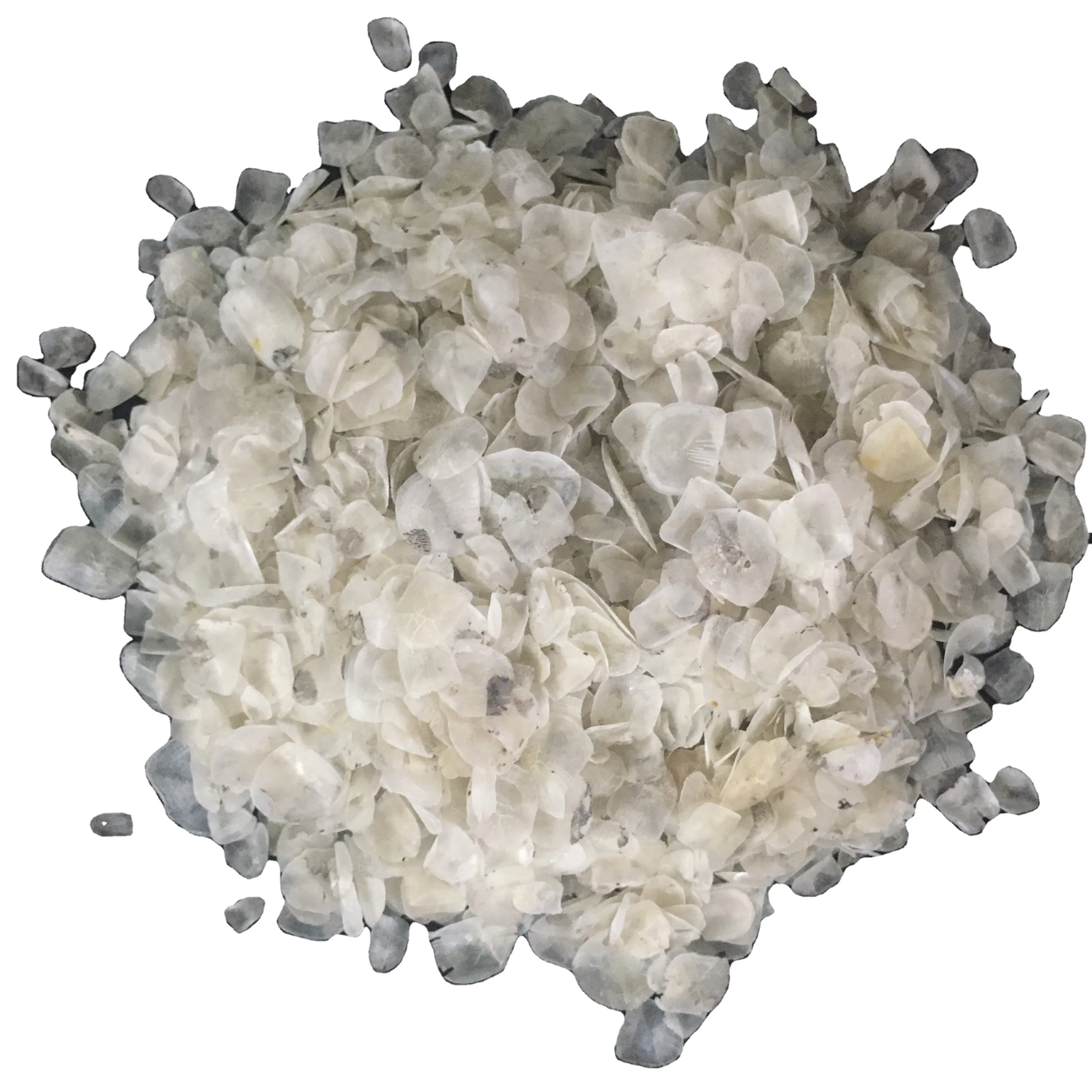 
Fish Scale From Bangladesh 
