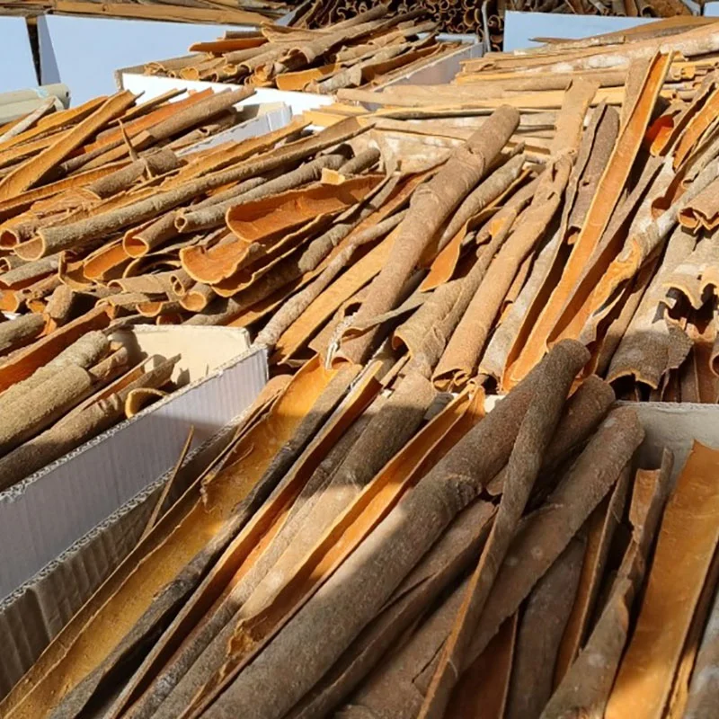 2022 NEW Dried Split Cassia Cinnamon / Dried Split Dalchini From Factory in Vietnam