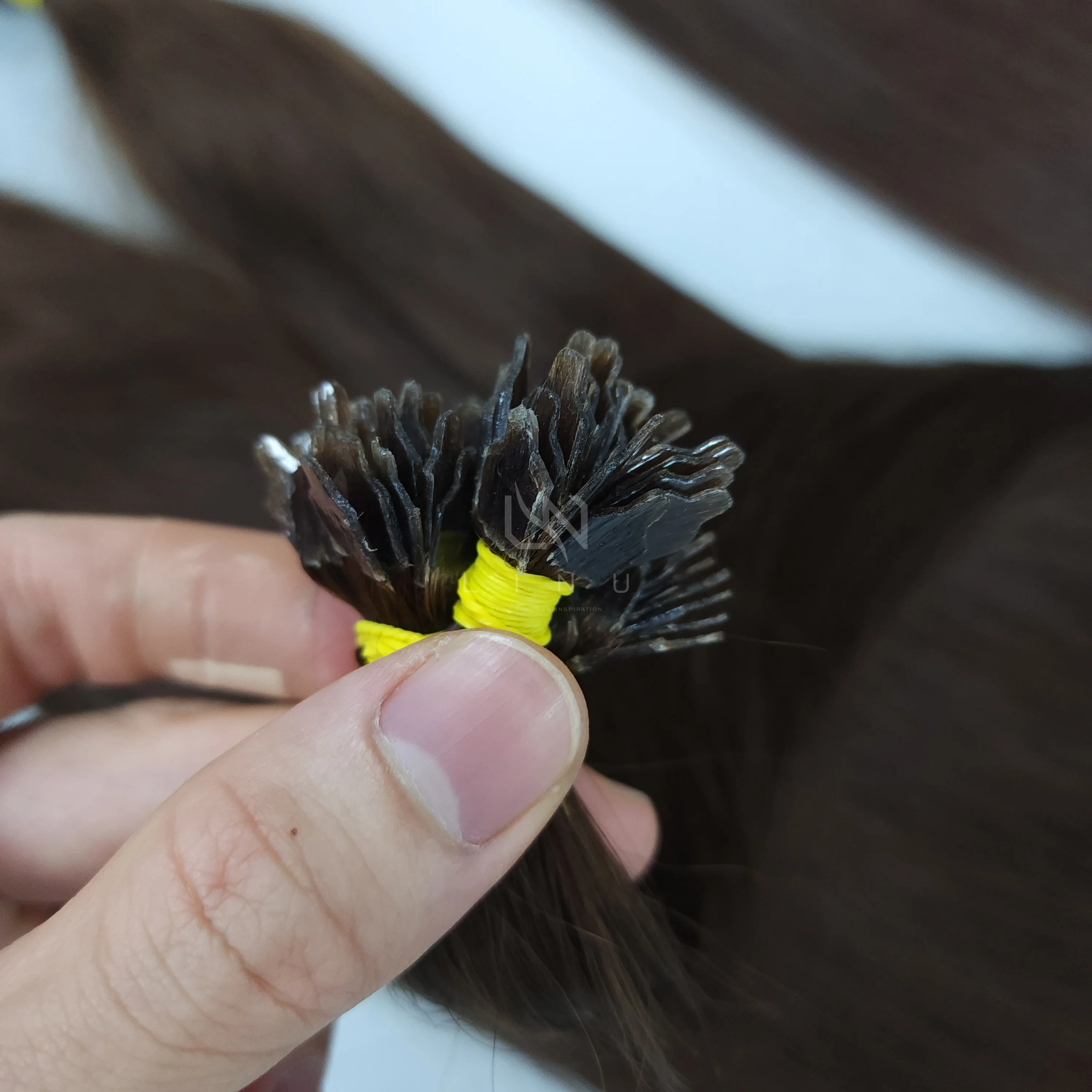 Luxury Hair Extensions Virgin Vietnamese Hair, Wholesale Price High Quality, Grades A, AA, AAA