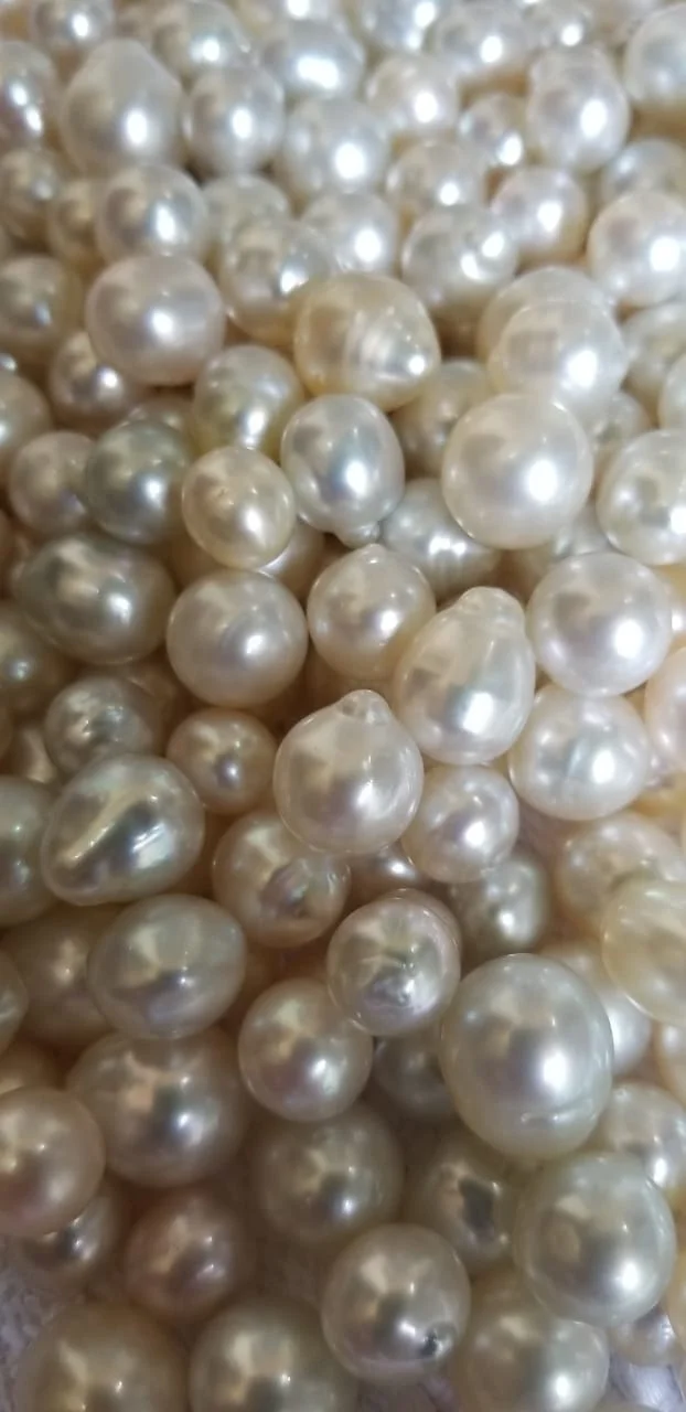 
LOOSE DROP SHAPE SALTWATER SEAWATER SOUTH SEA PEARL 