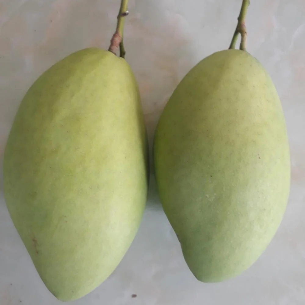 Манго 100% органический класс премиум от оптовой продажи