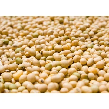 Высококачественная соя без ГМО-Лучшая цена и качество