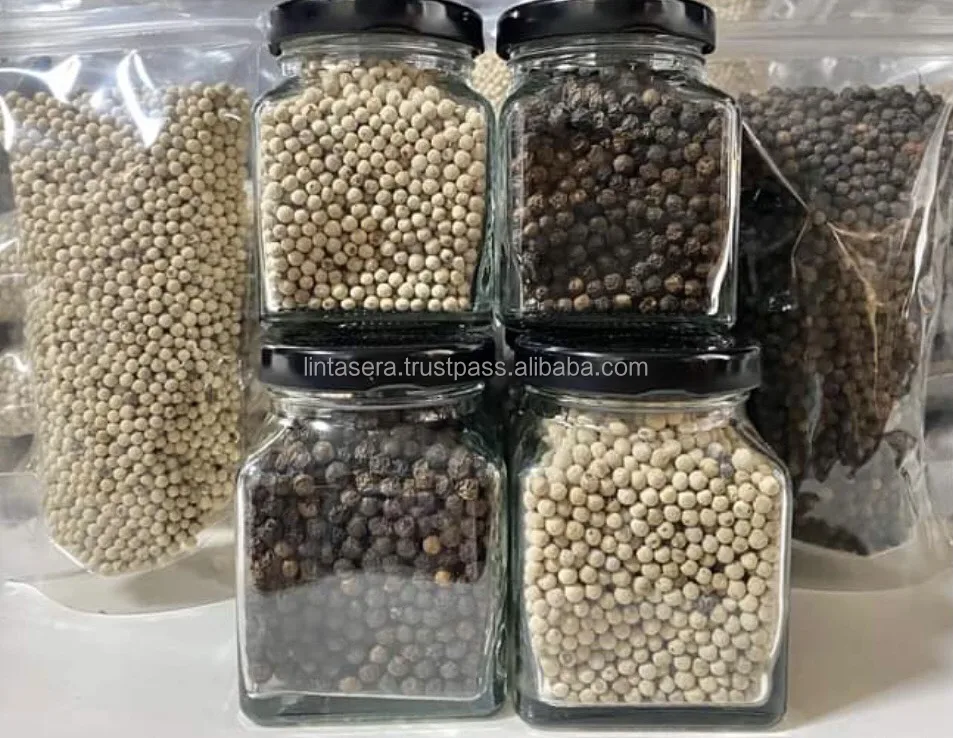 Best  Selling High  Quality  Whole  550 and 570 GL MC Cleaned White Pepper
