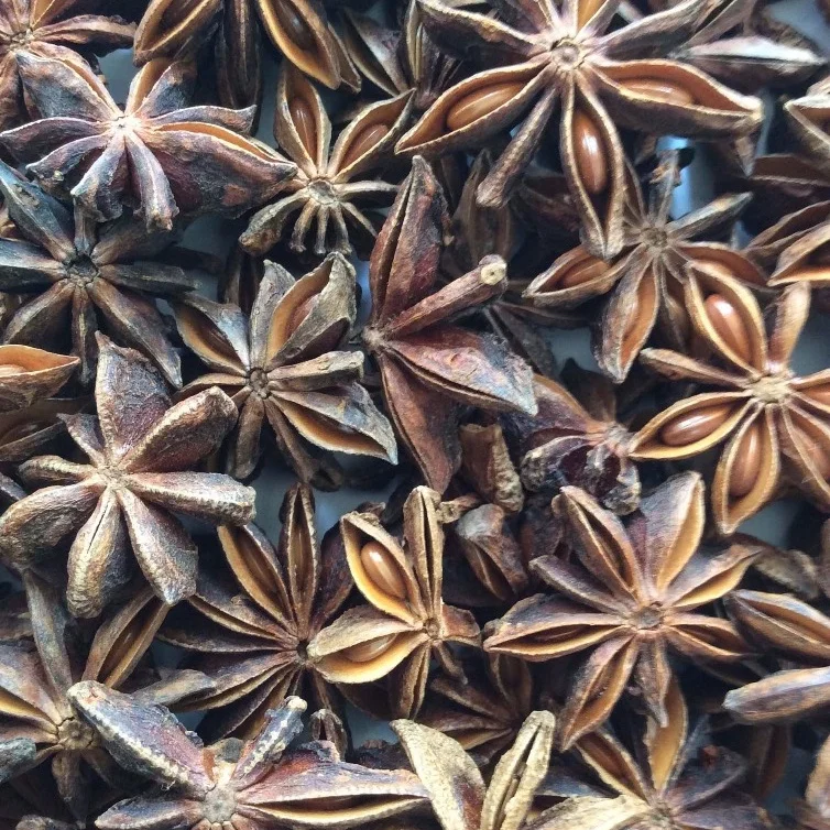 Dried Autumn Star anise Factory Supply No fungus, natural colour from Vietnam vendor market price