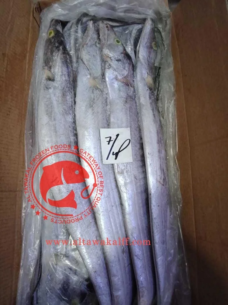 Frozen Ribbon Fish /Best Quality Frozen Seafood Exporter
