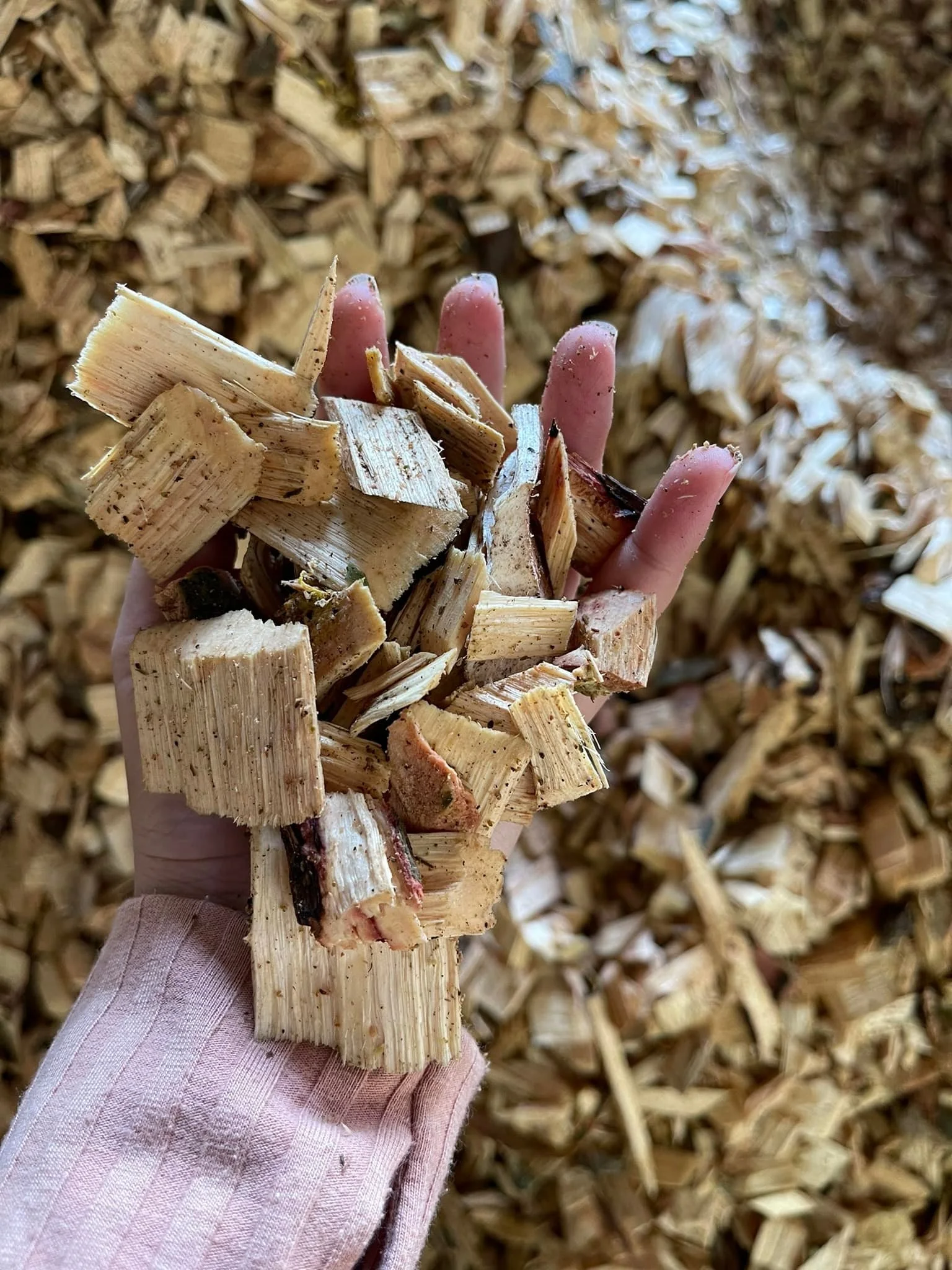 Вьетнамские деревянные стружки, деревянные стружки для курильщика, высокое качество, низкая цена, оптовые поставщики