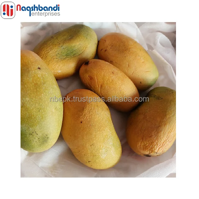 Fresh Chaunsa экспортеры манго в Пакистане желтая тропическая коробка сладкий урожай стиль упаковки цвет вес