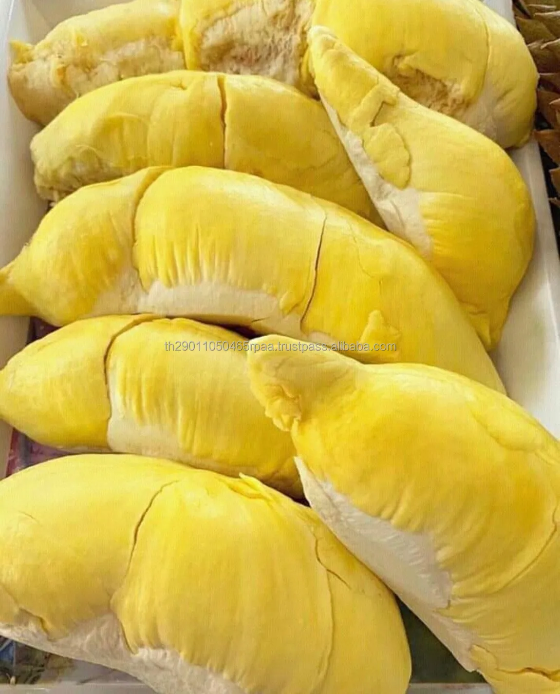 Свежие свежие фрукты дуриан хорошего качества из