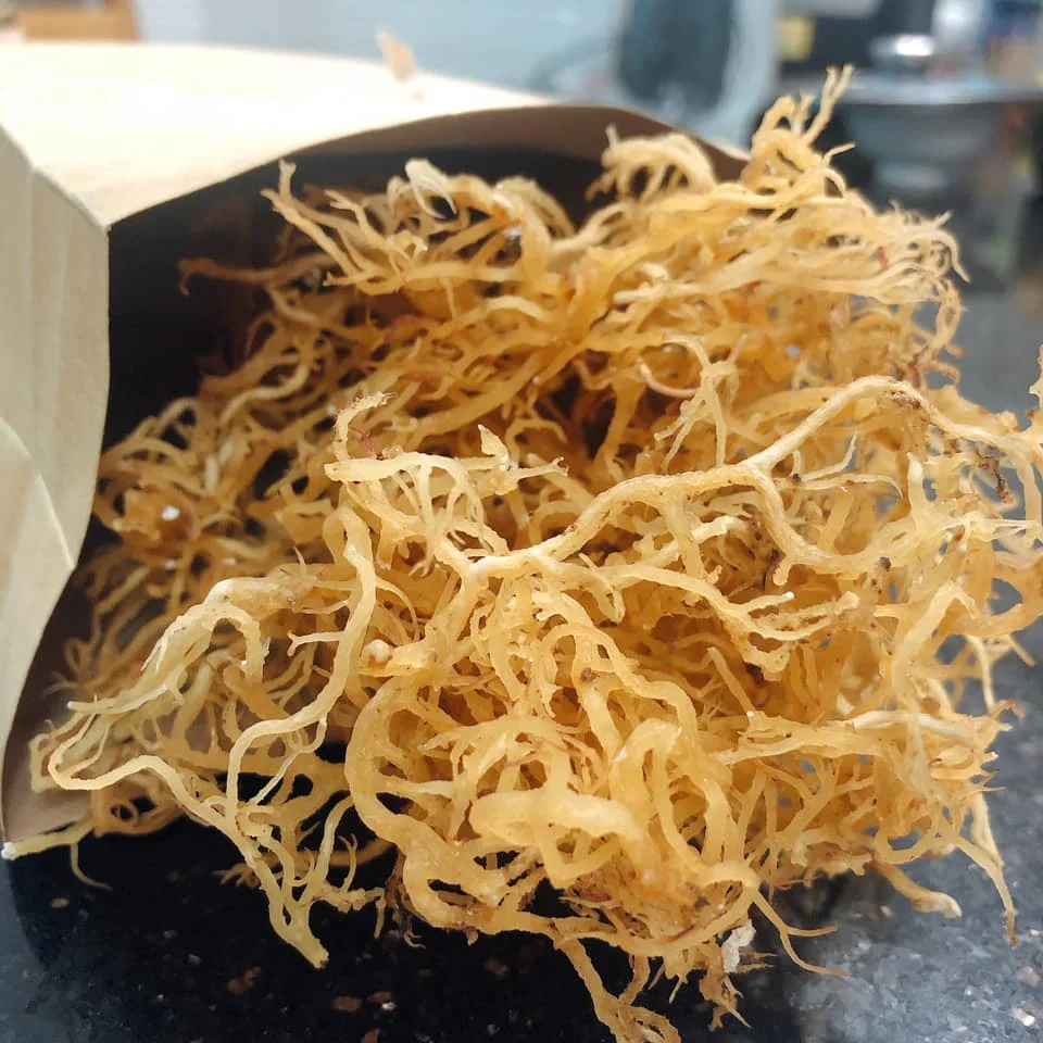 Wholesale Reef Revive 100% Pure & Unrefined Caribbean Sea Moss Multi-purpose