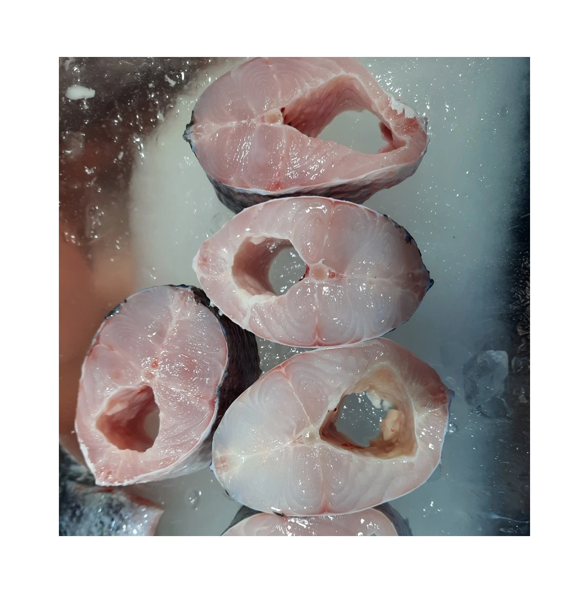 
BEST PRICE! Frozen Giant Snakehead steak from Vietnam 