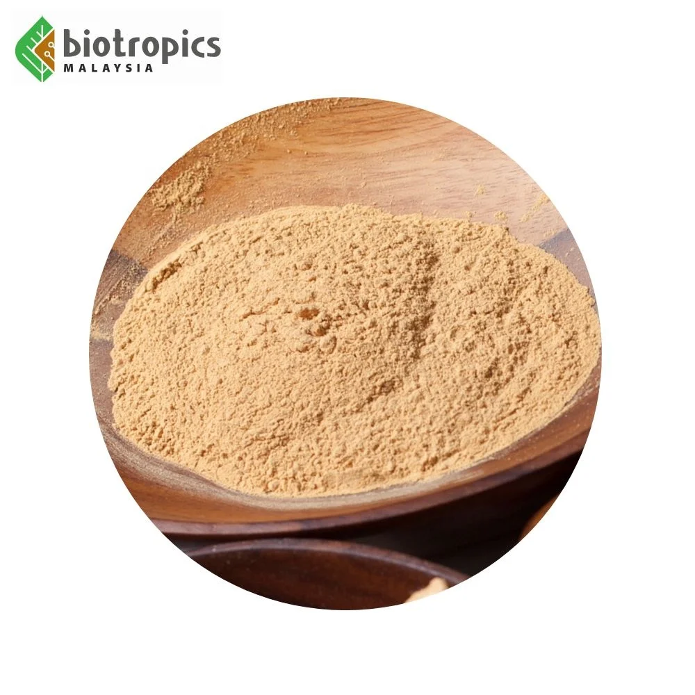 New Tongkat Ali Herbal Extract Powder Less Bitter as Ready Ingredient for Food & Beverages Halal Kosher GMP HACCP ISO