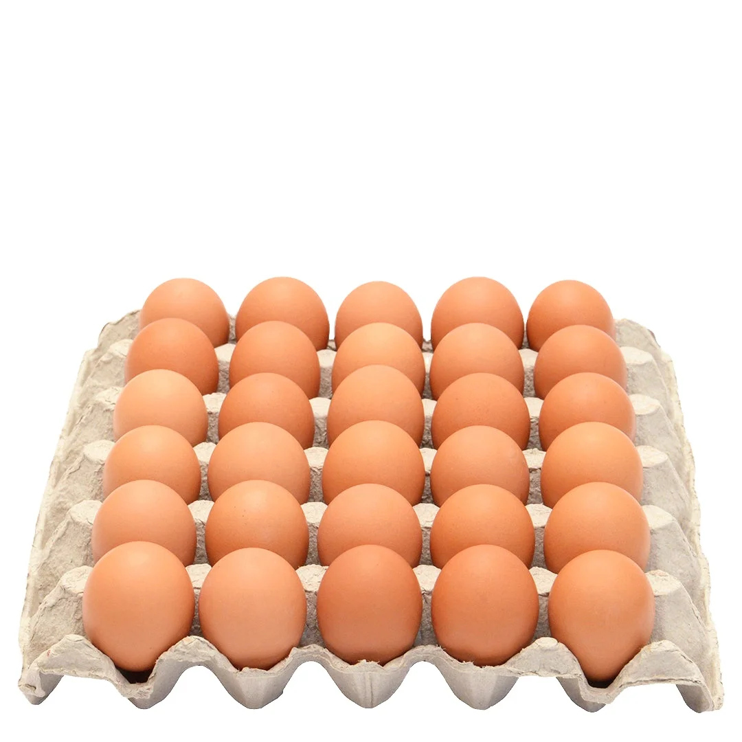 Farm Fresh Chicken Table Eggs Brown and White Shell Chicken Eggs / Variety Size L, XL Product FRESH TABLE EGGS Offer Free Sample