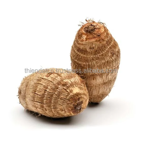 FRESH PURPLE FLESH TARO ROOT VIETNAM WITH BEST PRICE