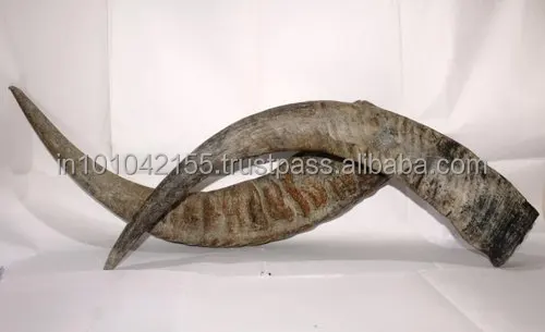  Креативный натуральный рог буйвола