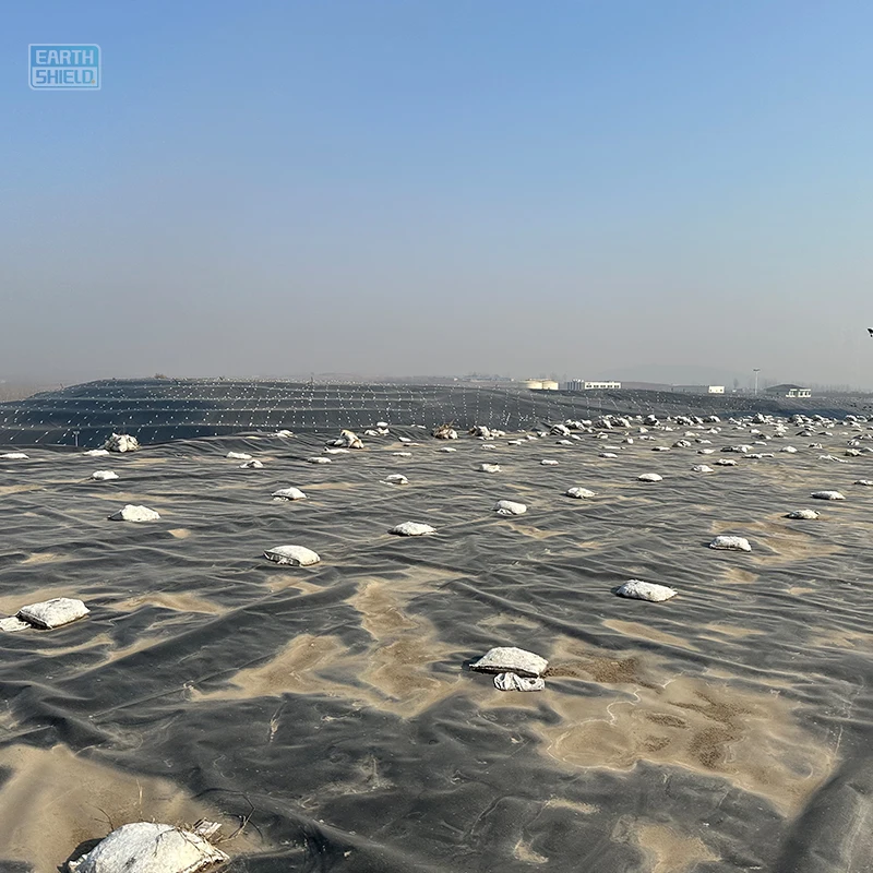 0.5mm HDPE Geomembrane Liners 100% New Resin for Fish Ponds