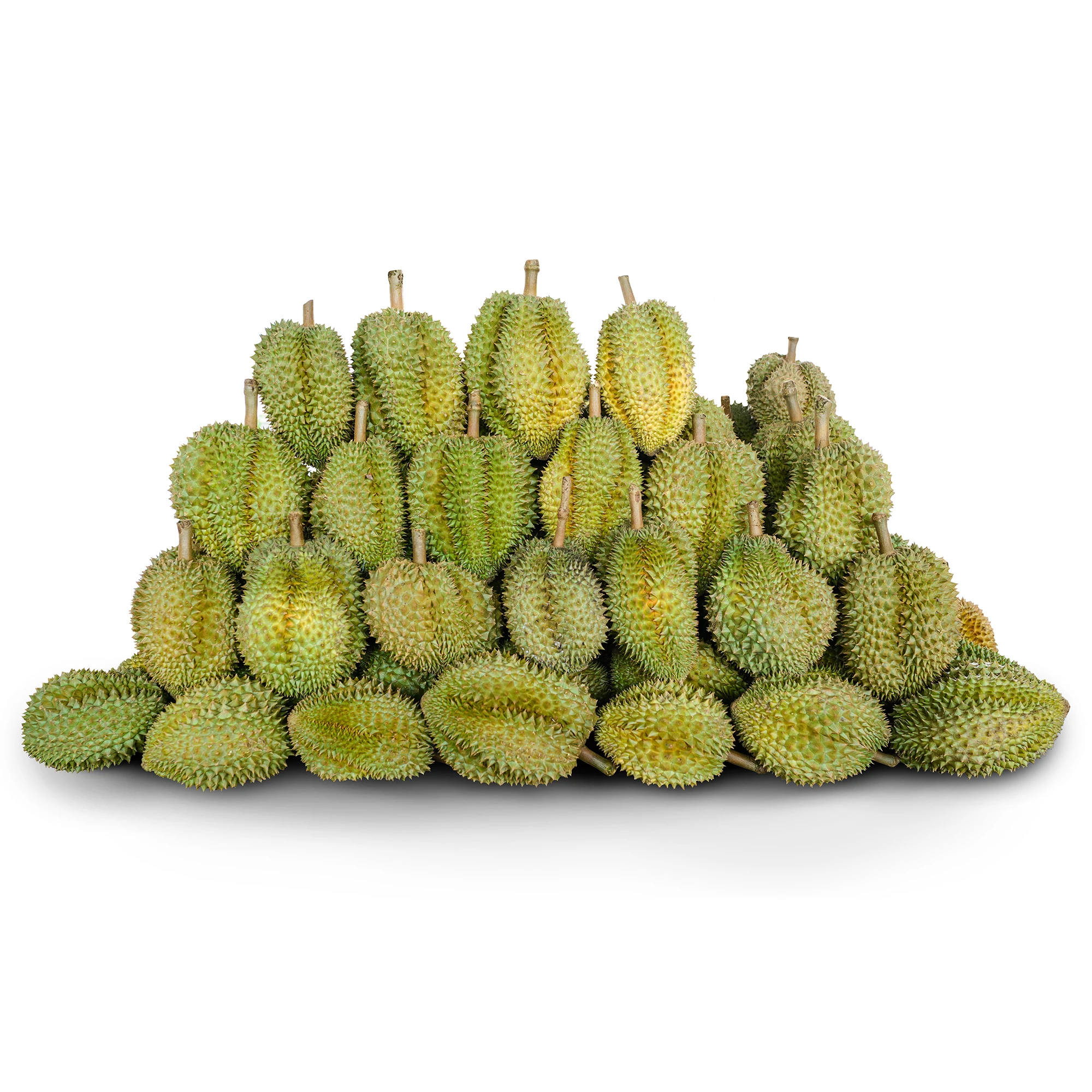 Fresh durians premium Monthong Durian fresh whole Thai fruit specially selected Fresh durian from thailand