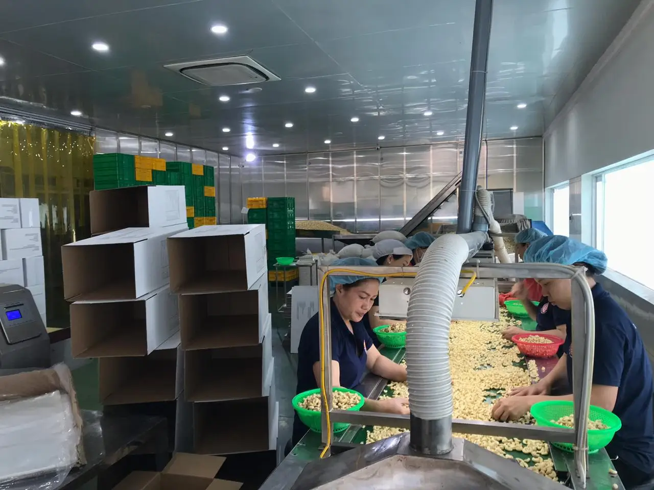 cashew nuts and seeds CASHEW NUT WW320 WW240 COMPETITIVE PRICE