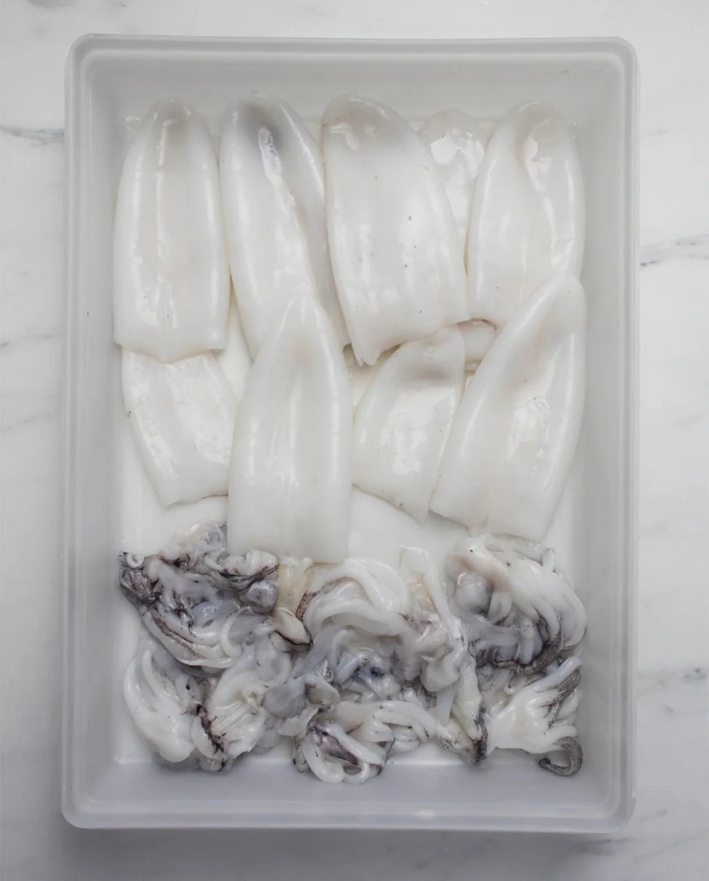 SQUID TUBE AND TENTACLES FROZEN