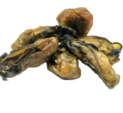 Vietnam Seafood DRIED OYSTER intestines Premium Product with Best Price 2023