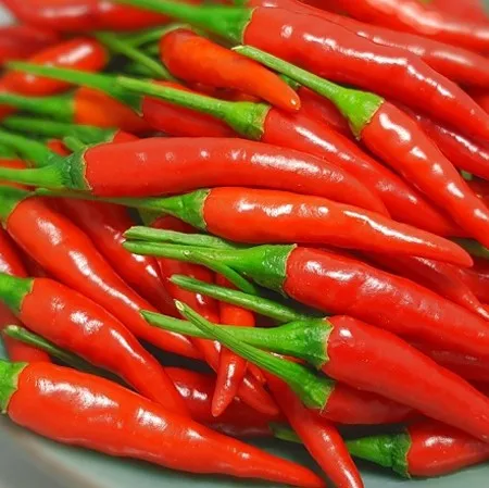 Natural Chilli Big Chili Pepper High quality Wholesale Dried Red Chili For Seasoning From Vietnam