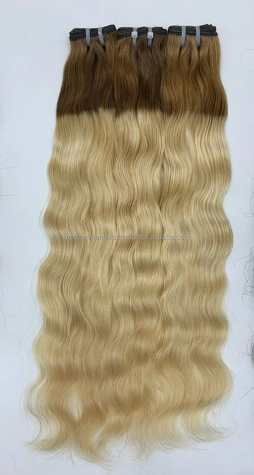 kashi  colour 12.JPG