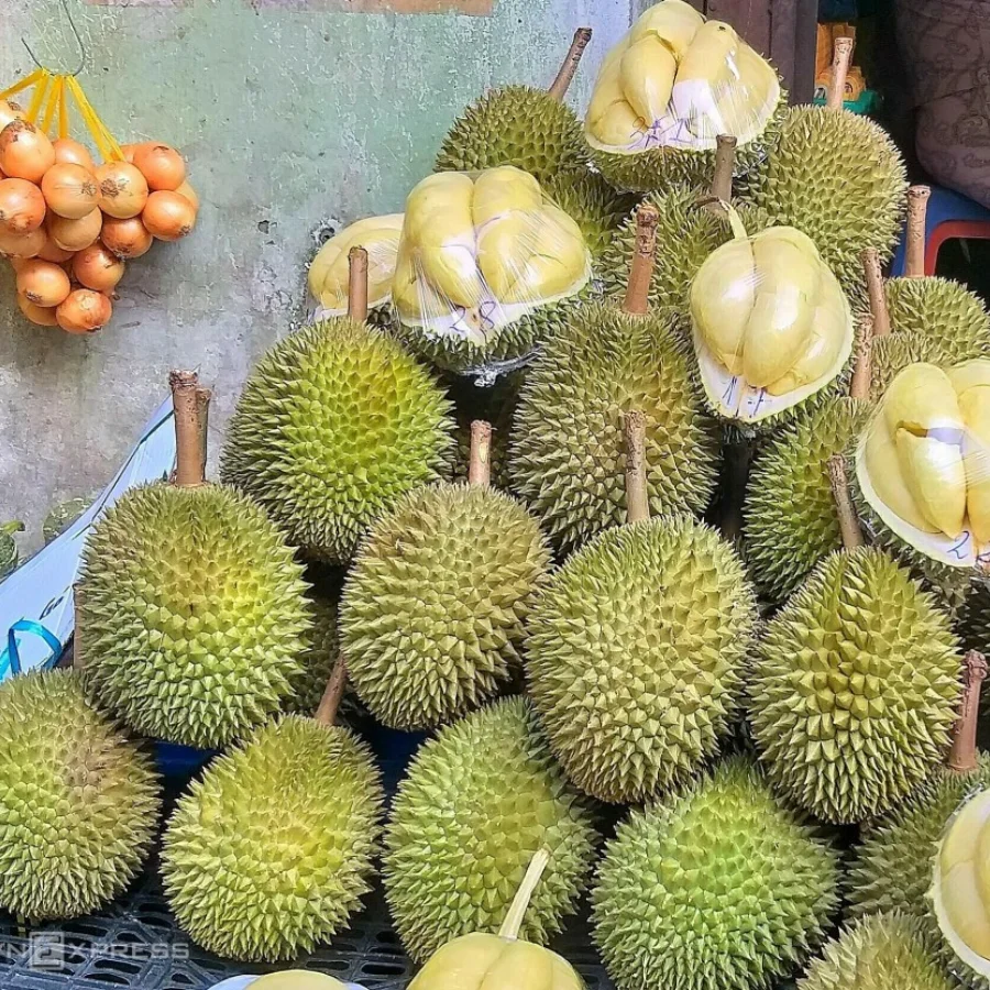 [New Product 2023] Fresh Durian Vietnam - New Arrival With High Quality Wholesale Best Price