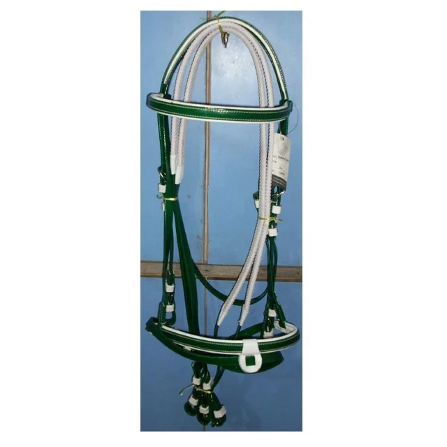 HORSE REIN & BRIDLE.