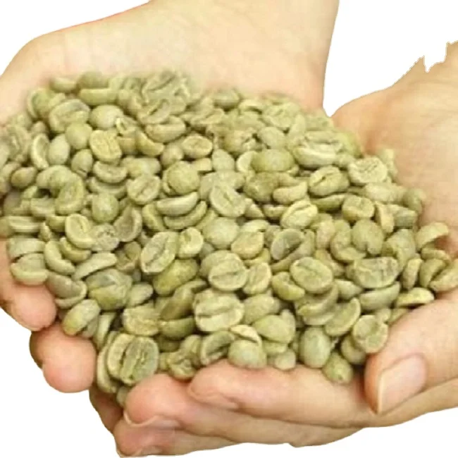 Оптовая продажа, кофейные зерна Арабика в сыром виде