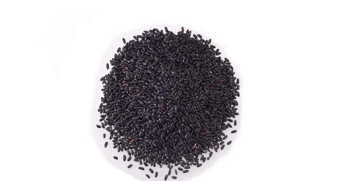 Organic Black Sticky Rice_ Dried Black Rice With Cheap Price For Exporting - Ms Akina +0084-902803631