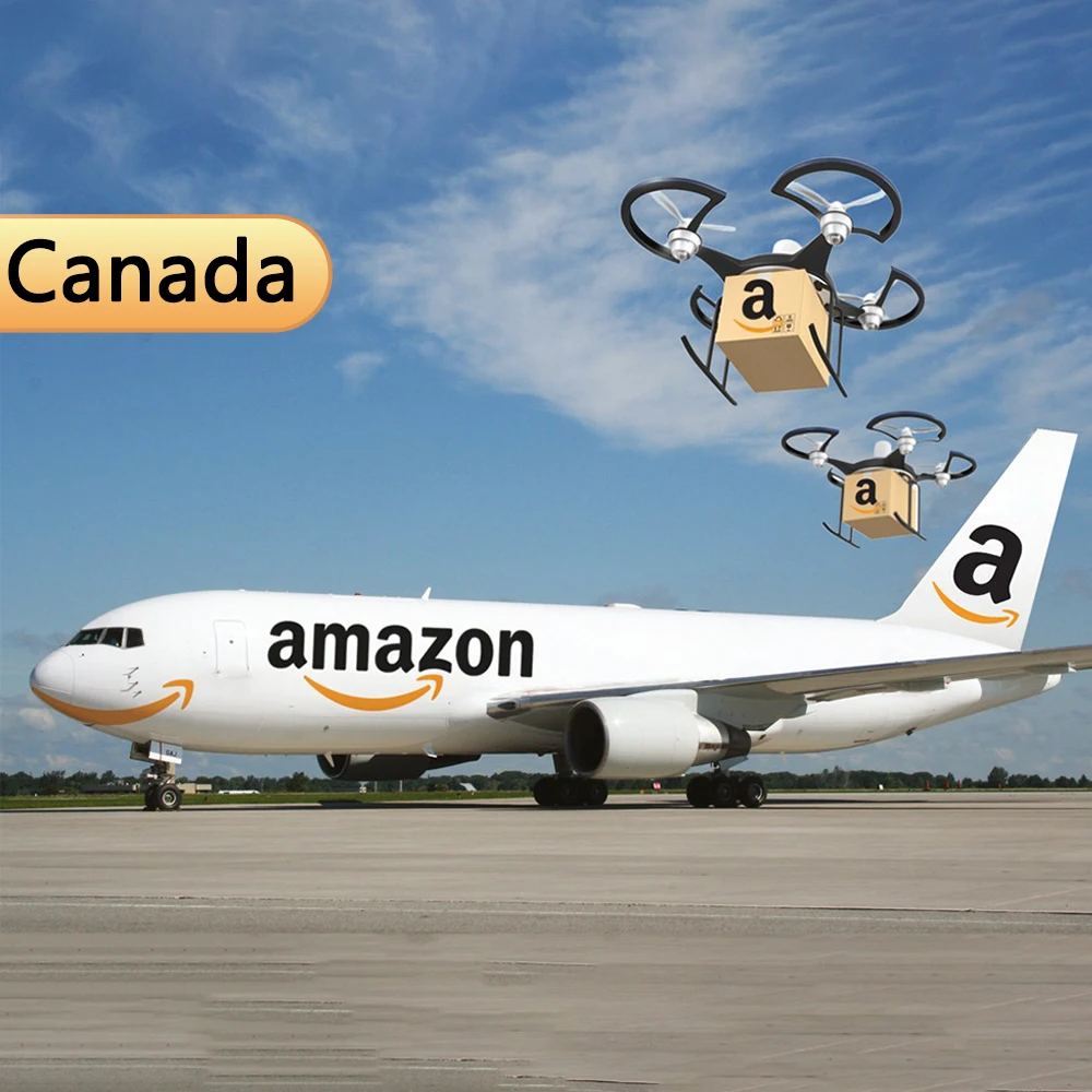От двери до UPS Air + служба экспресс-доставки из Китая в Канаду Премиум